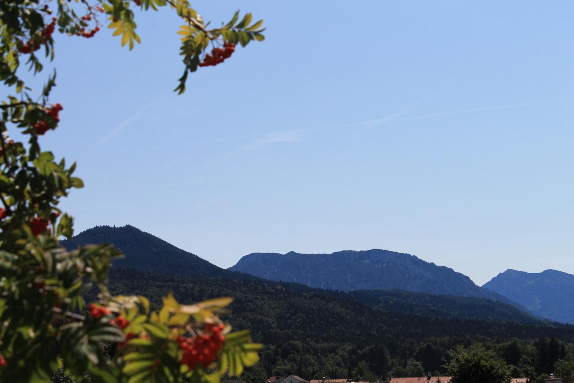 Hotel Garni Edelweiss Siegsdorf Exteriör bild