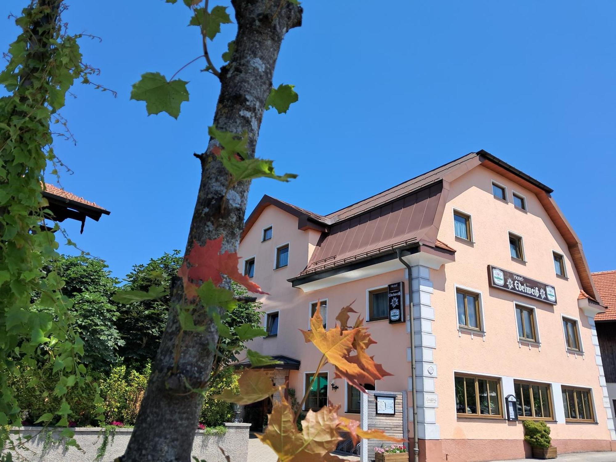 Hotel Garni Edelweiss Siegsdorf Exteriör bild